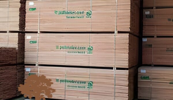 چوب راش المان پولمایر انبار شده